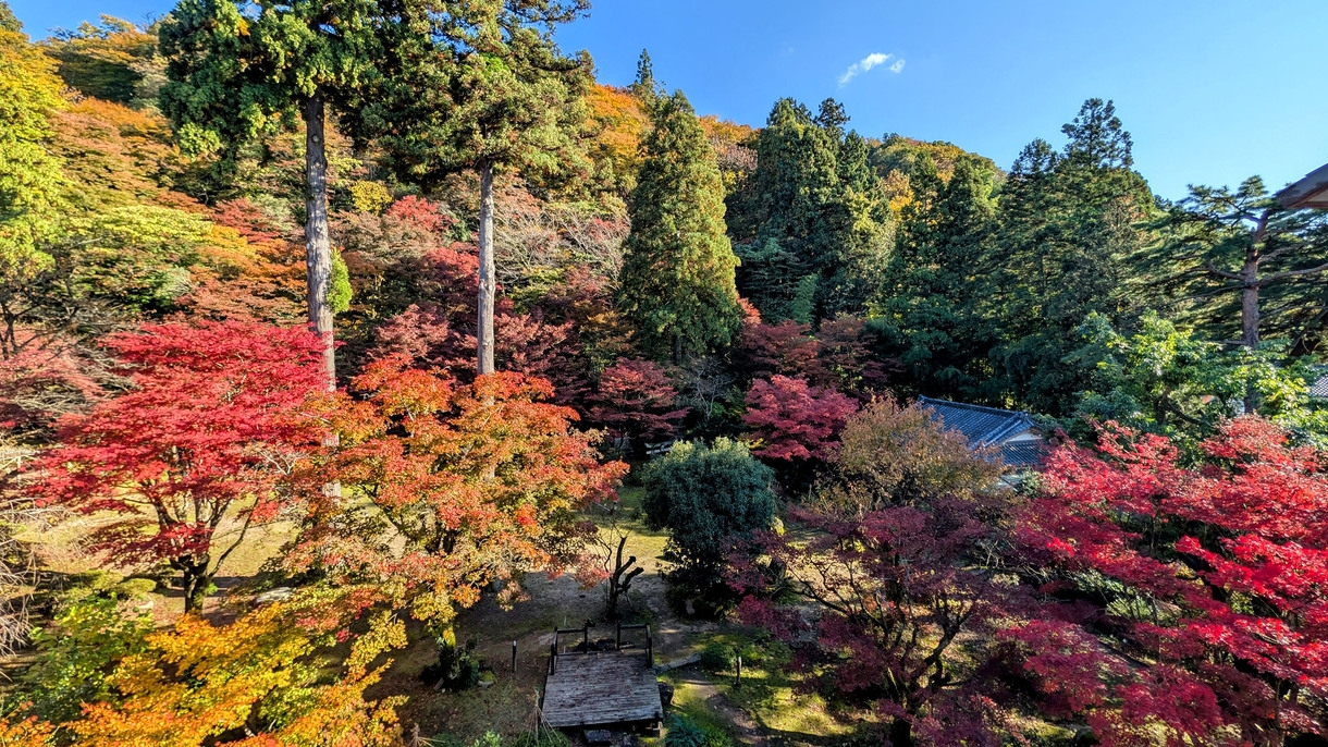 【秋の謝恩セール 今だけ30％OFF！】最上階から庭園を一望♪特別室 御風の間で寛ぎのひとときを