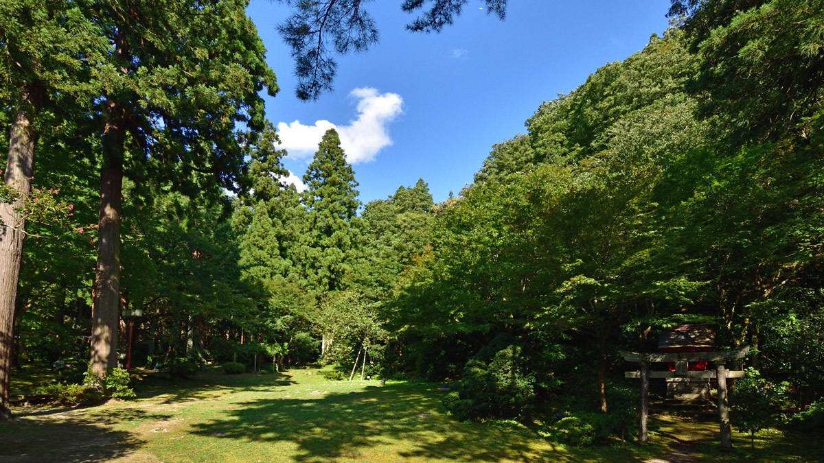 【楽天月末セール】開湯700年！人気の創作源泉会席プランを特別価格でご提供【五つ星の宿受賞】