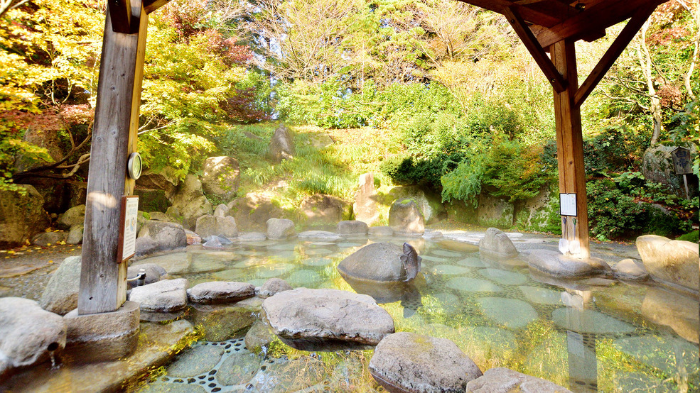 【10・11月限定】秋の新潟を贅沢に愉しむ「松茸と秋鮭の旬彩会席プラン」