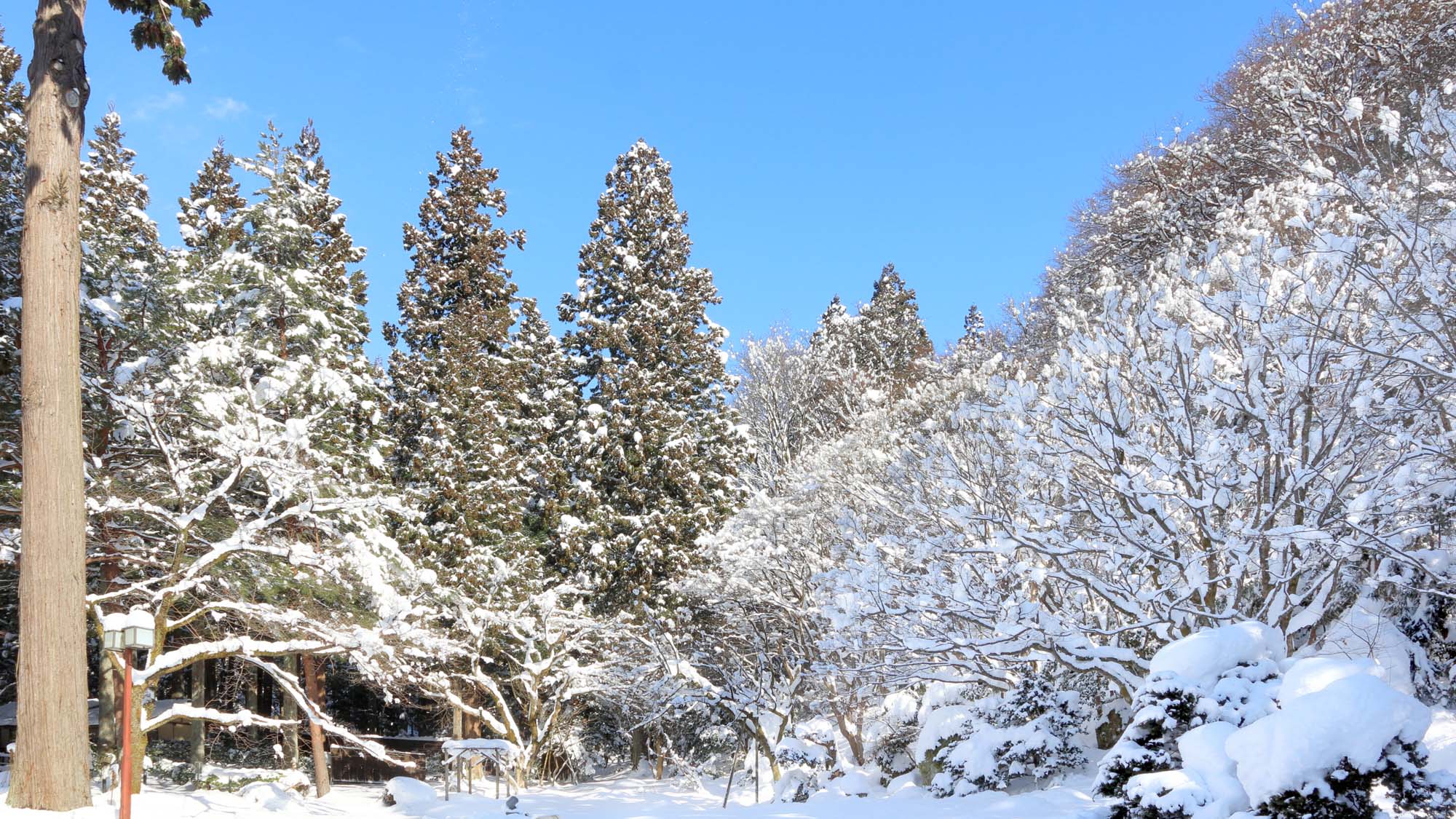 【庭園　冬】全客室から雪景色をお楽しみいただけます