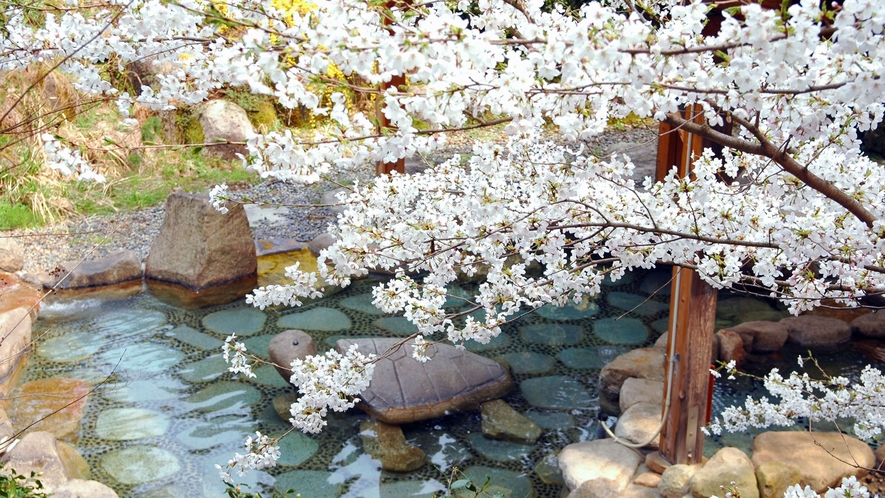 【大露天風呂　春】春はお花見露天風呂が楽しめます。