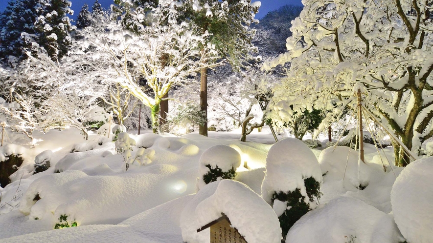 【庭園　冬】ライトアップされた夜の庭園
