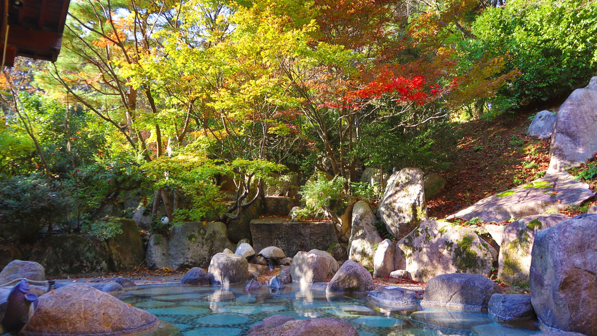 【大露天風呂　秋】県内最大級の大露天風呂で色付く秋の自然を堪能