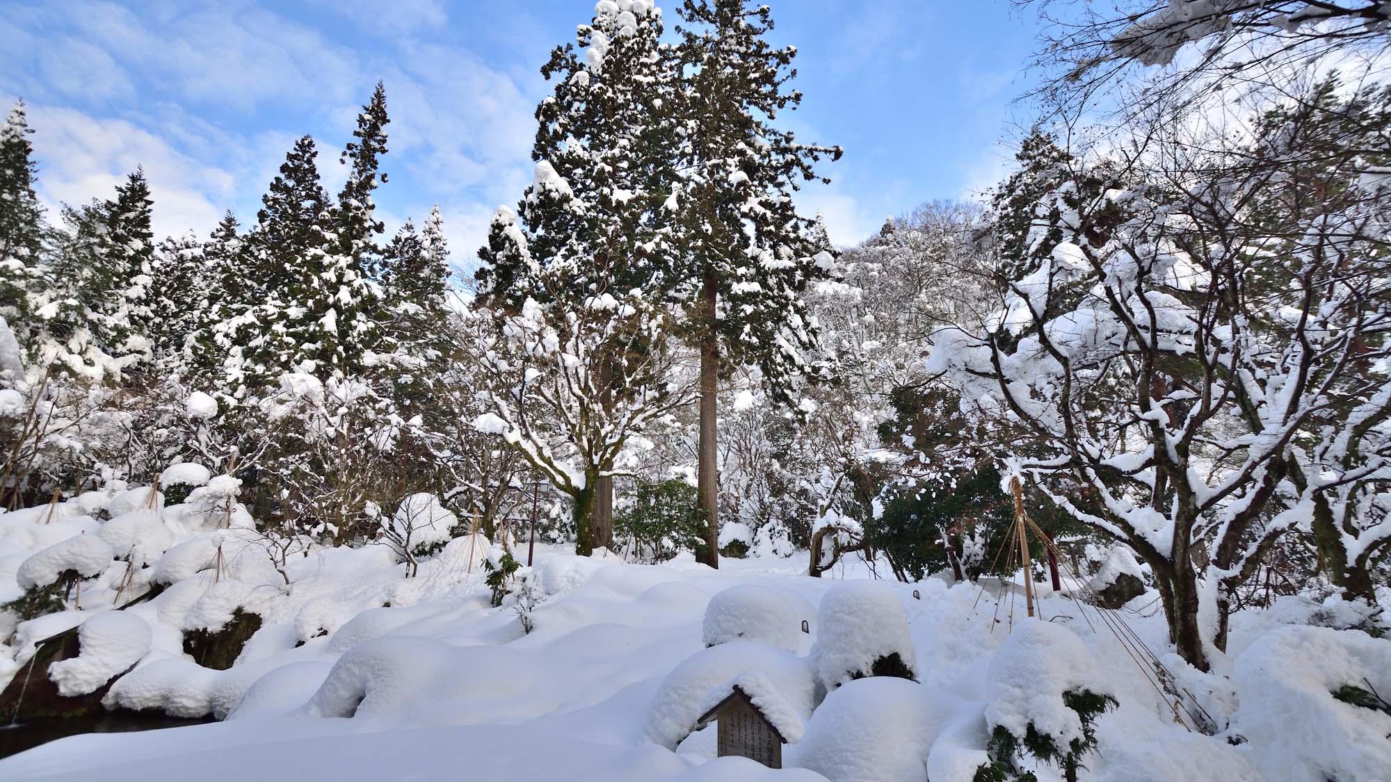 【庭園　冬】真っ白な雪に覆われる冬の情景