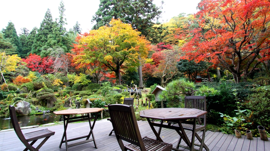 【庭園　秋】11月上旬～中旬頃が紅葉の見頃で御座います。