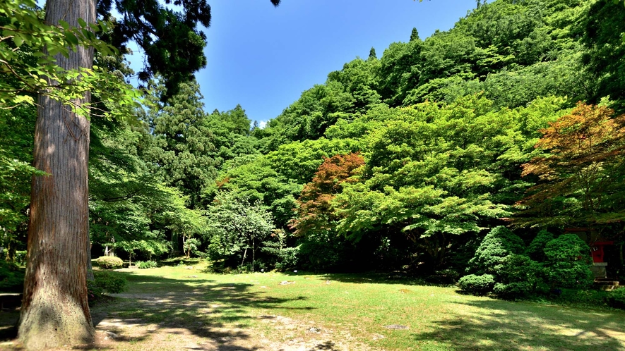 【庭園　夏】風薫る庭園