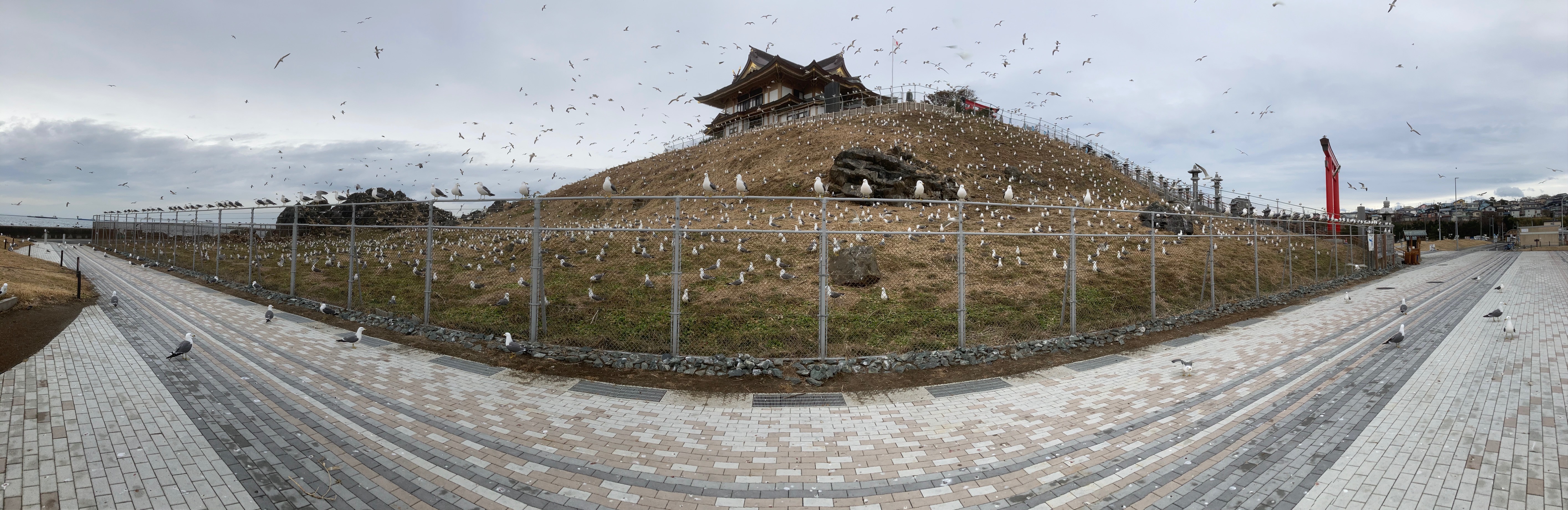 蕪島神社パノラマ