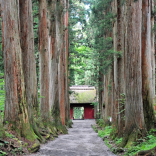 【戸隠神社（奥社）】