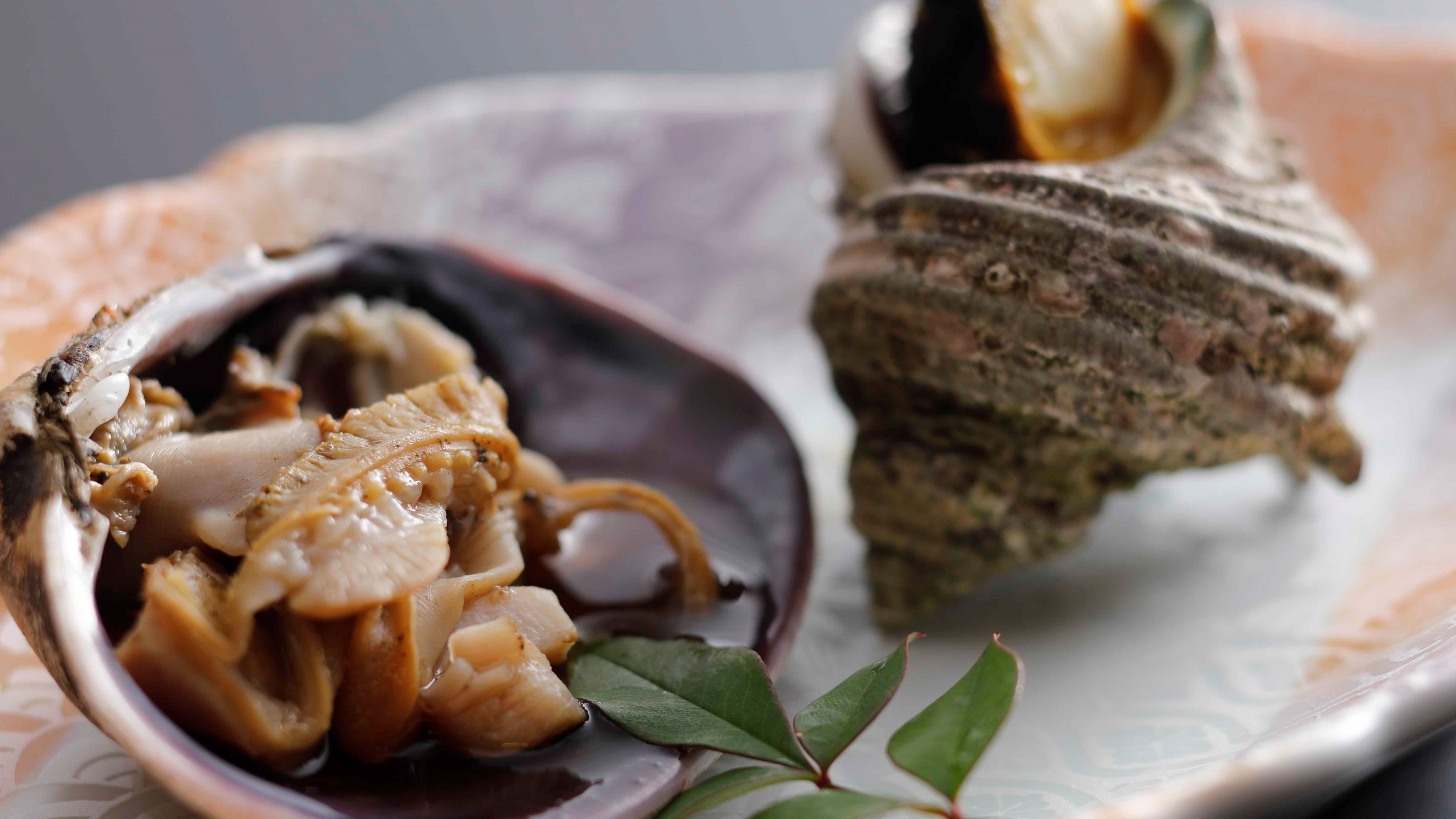 【リーズナブル会席／磯香】※1日3組限定 相差大漁舟盛り・伊勢海老黄金・焼き貝付のお得な会席プラン