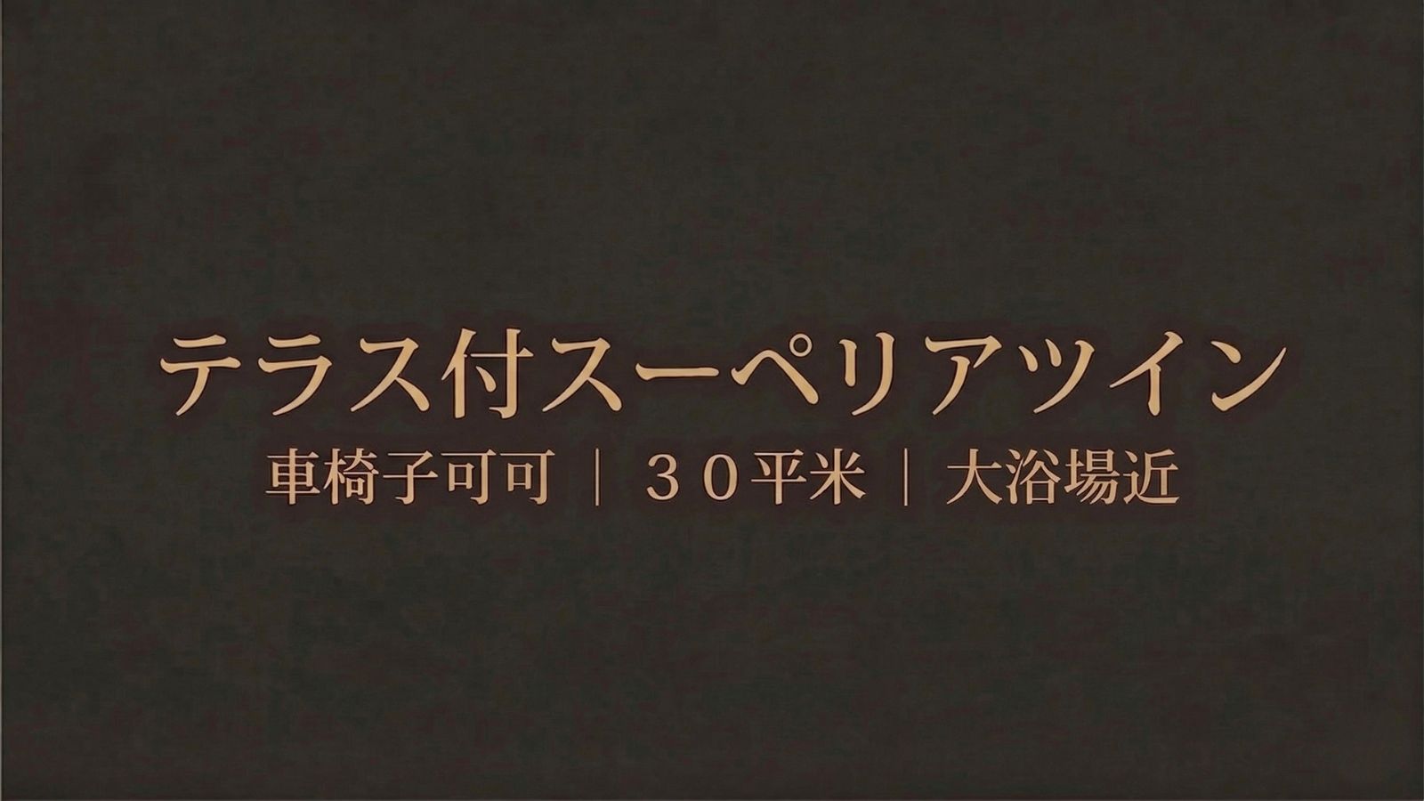 テラス付スーペリアツイン（車椅子可／３０平米／大浴場近）