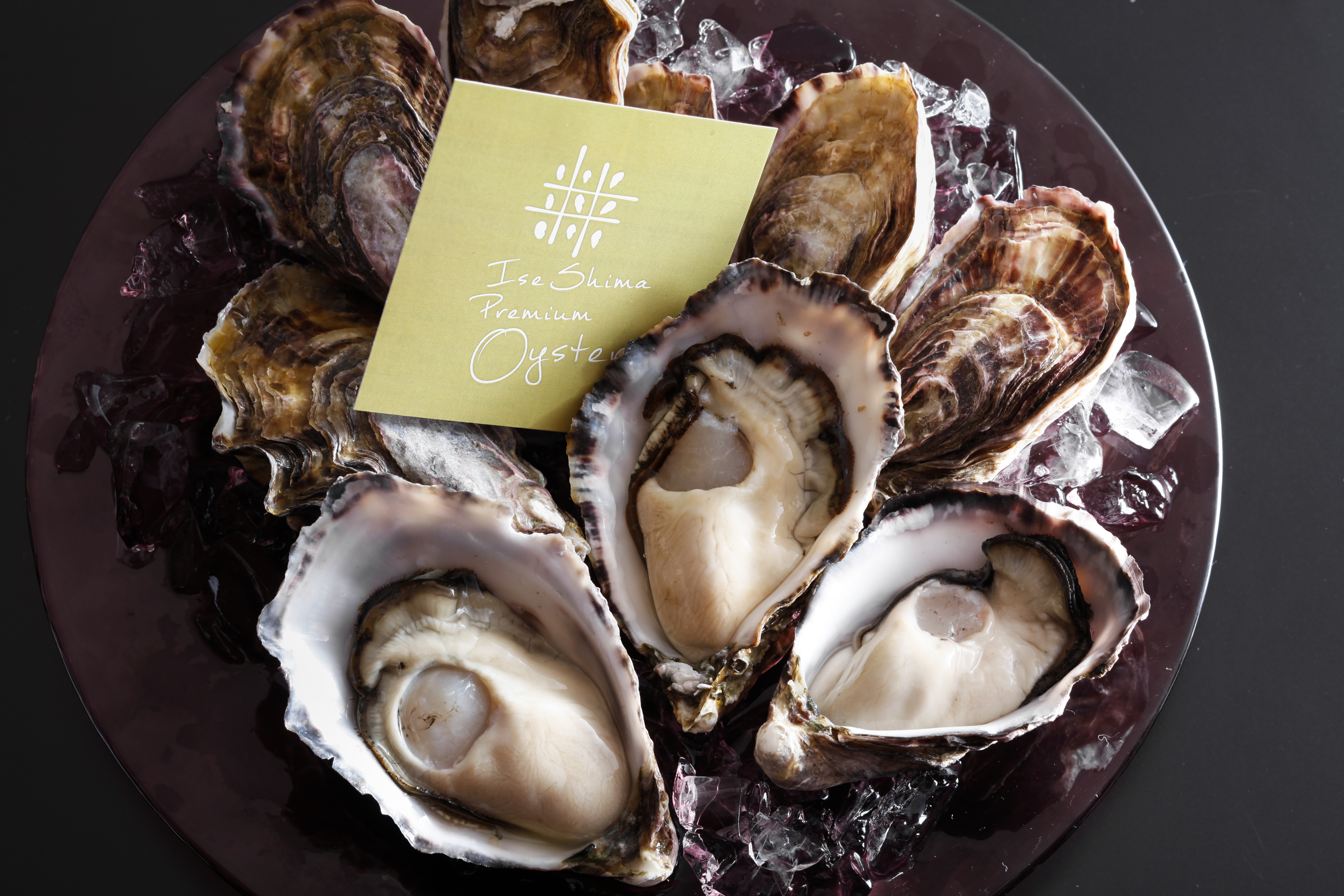 【伊勢志摩プレミアムオイスター】甘味と旨味が凝縮された通年生食で食べれる牡蠣です♪