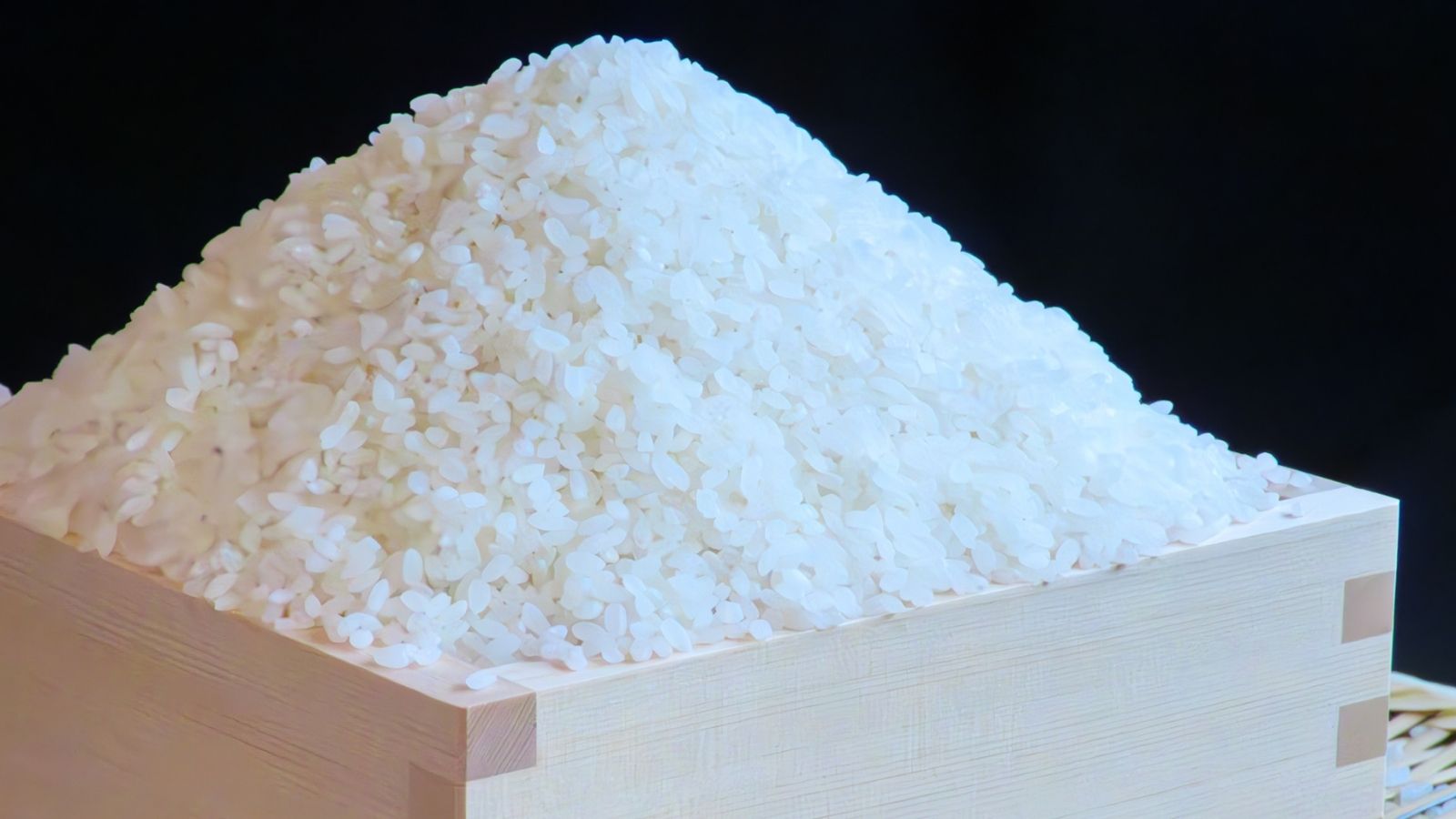 玄米から毎日精米のごはん