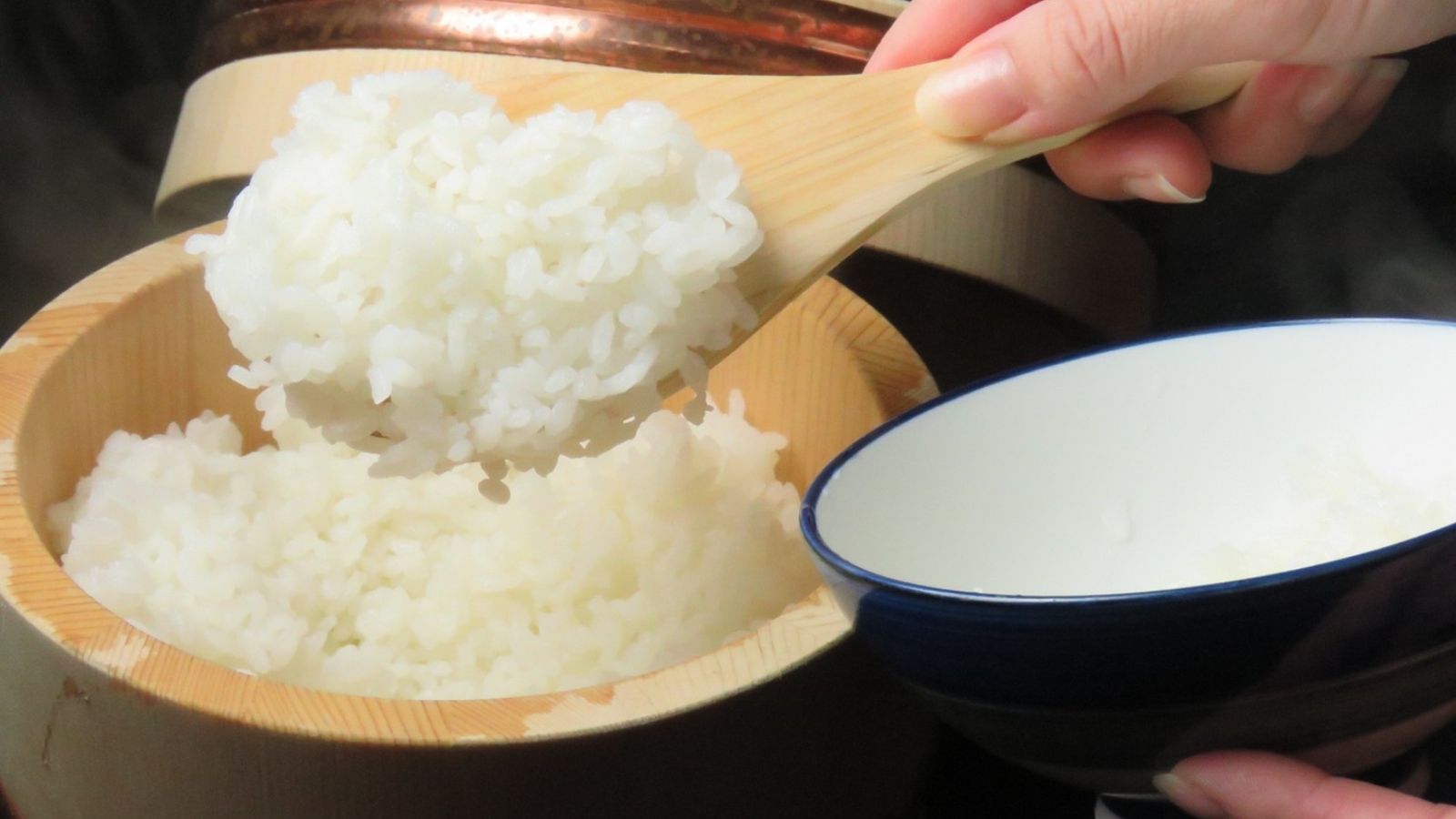 玄米から毎日精米のごはん