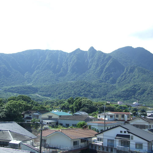 山側のお部屋からの景色