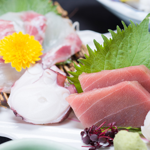 Dinner example (Sashimi) / Fresh seafood caught in the Ariake Sea is presented in a colorful presentation.