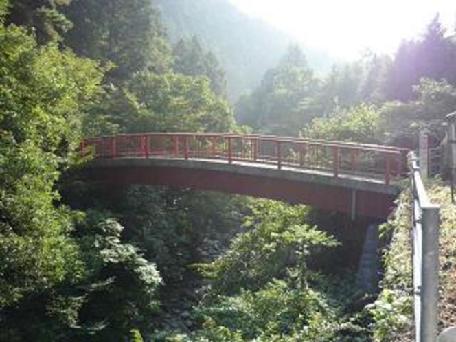 水源の森橋
