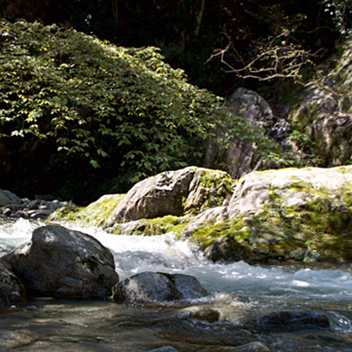 【周辺】大自然を満喫ください