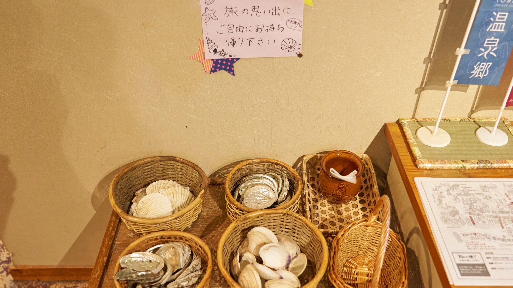 【ラウンジ】貝殻のお持ち帰り