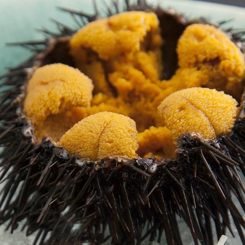 【源泉掛け流しと旬の食材を堪能】スタンダード2食付き　★夕食時ドリンク無料★