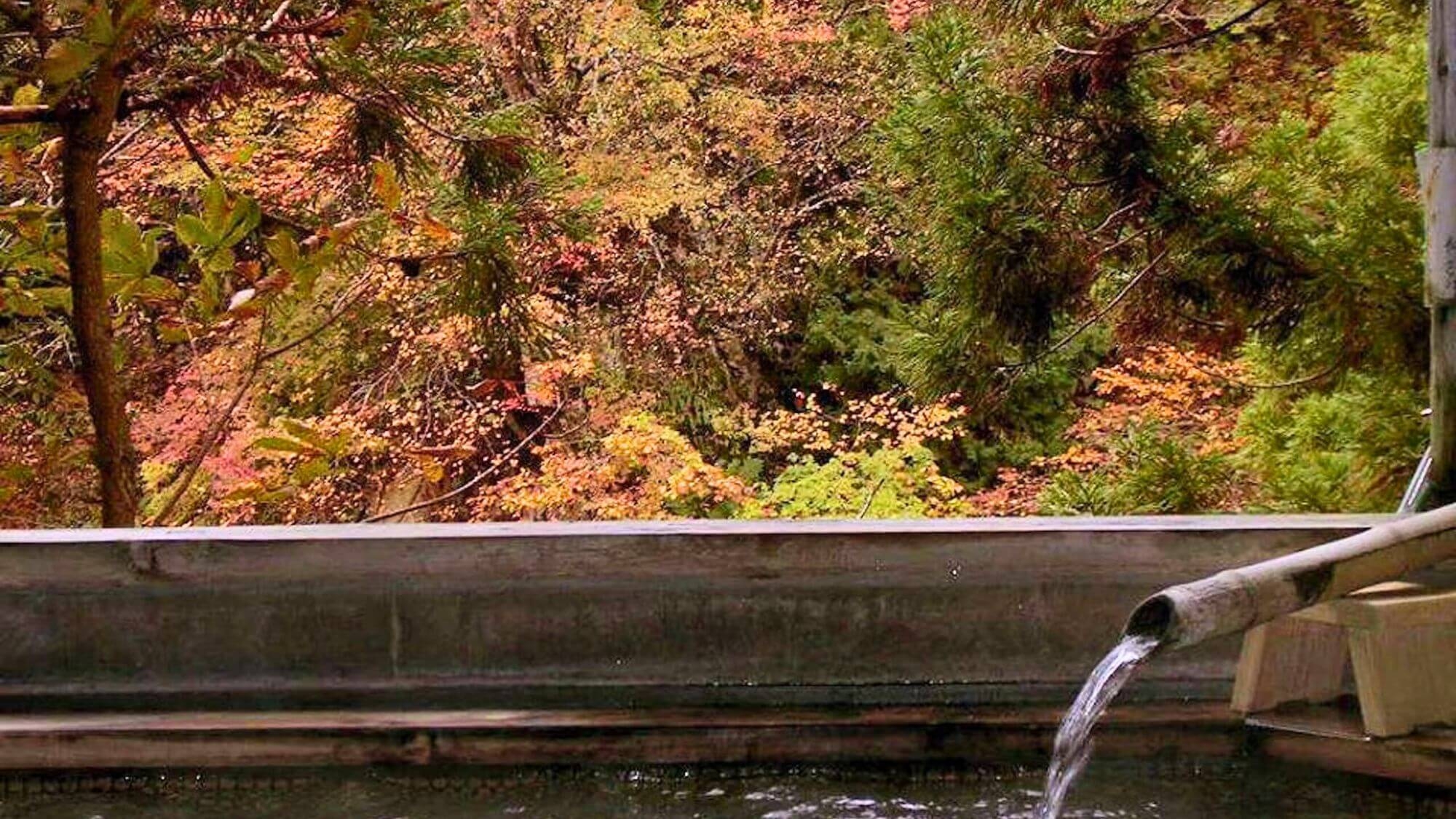 【秋冬SALE】大正ノスタルジーに情緒爆発！秘湯白布温泉レトロ宿に泊まろう〇基本会席2食付