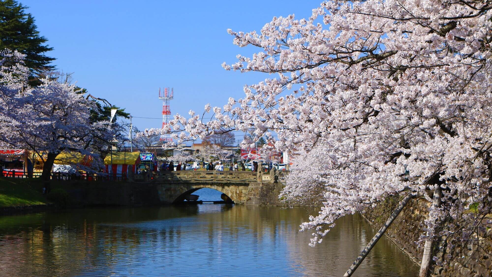 【グループ春旅〇2食】3名以上には生ビール1杯無料！米沢牛×天元豚相盛りしゃぶしゃぶ〇温泉で卒業旅行