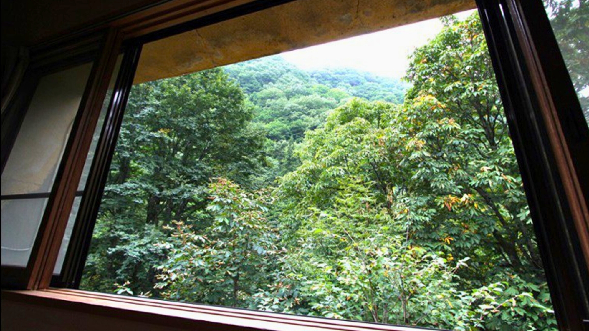 【渓谷館B-1お部屋一例】