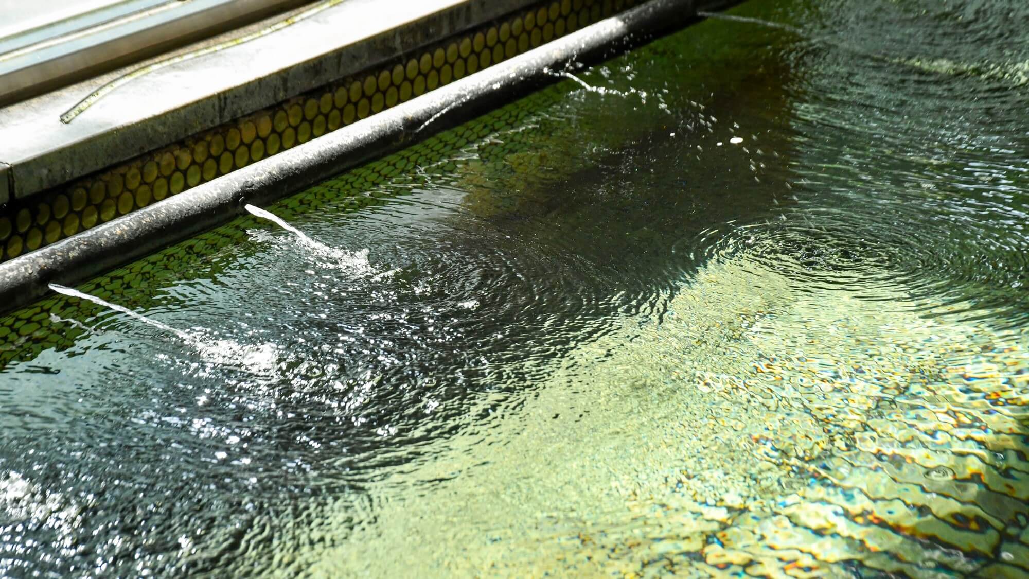 【大浴場】いつでも入れる安心感。湯治気分のくつろぎ空間です。