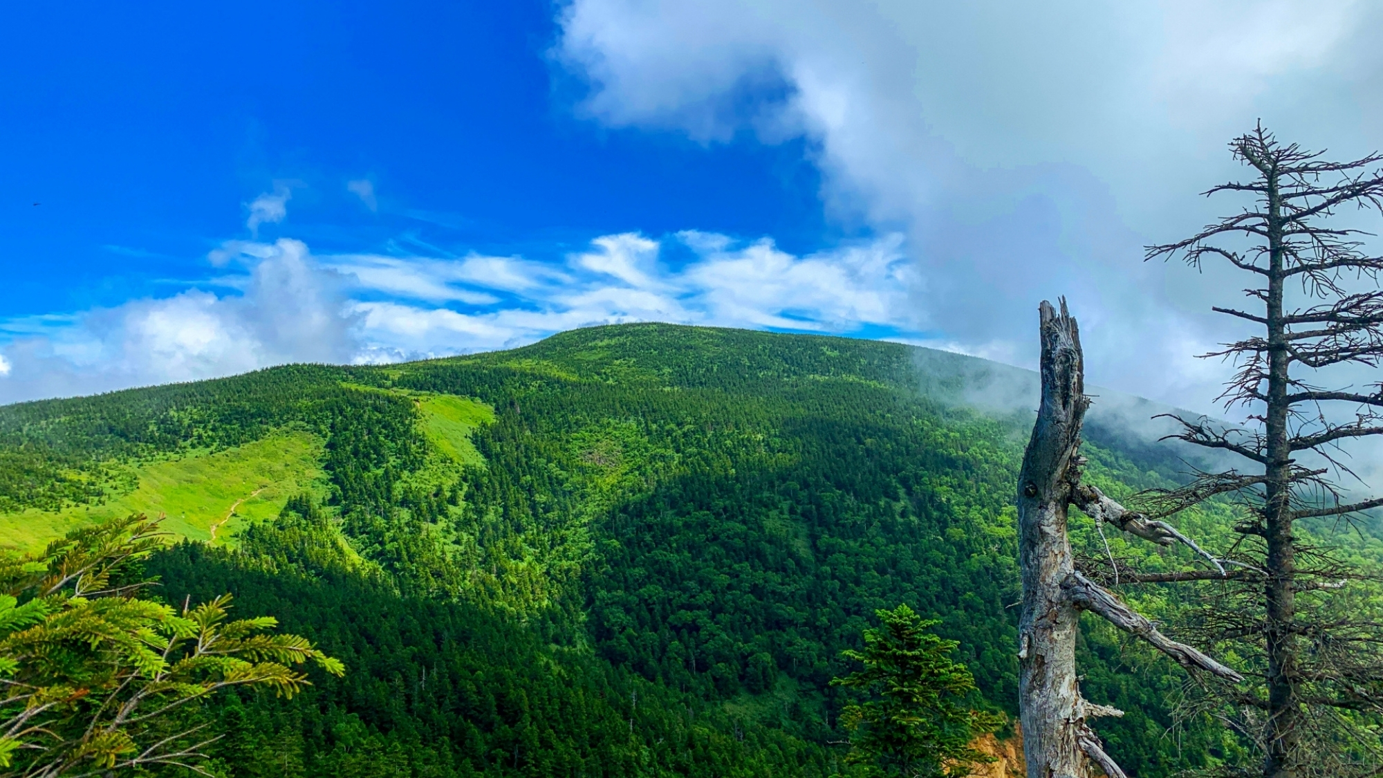 日本百名山の「西吾妻山」。白布温泉は玄関口です。