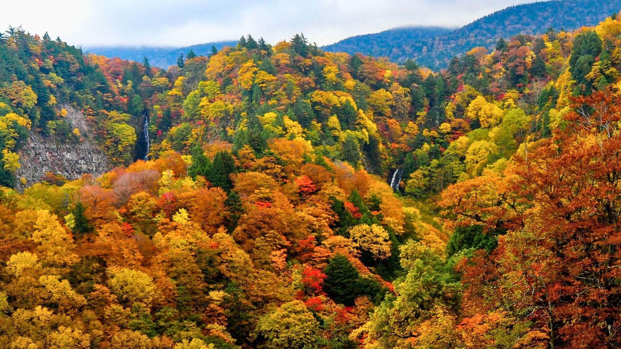 【白布温泉の秋】西吾妻スカイバレー（赤滝黒滝）