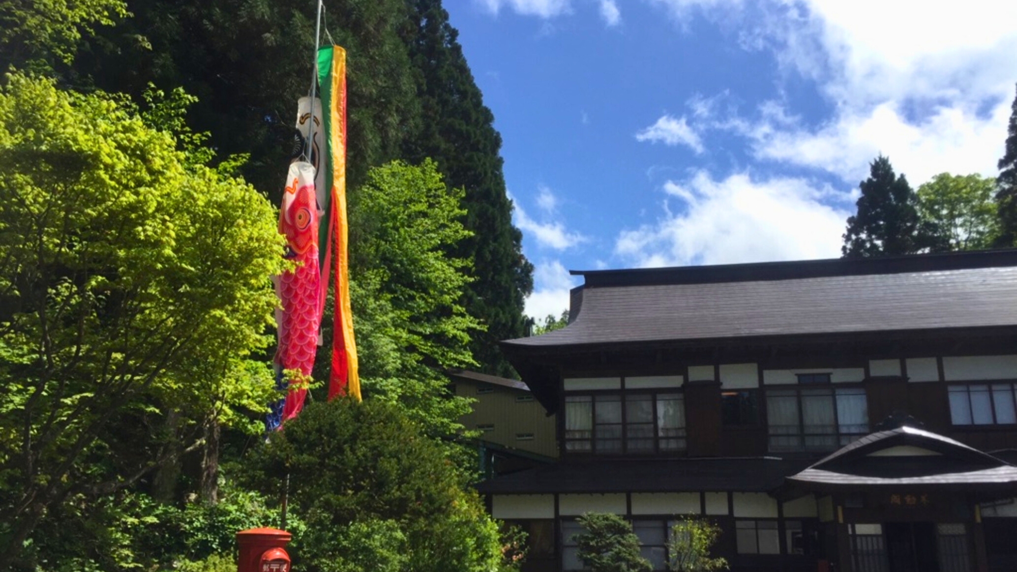 春鯉のぼり