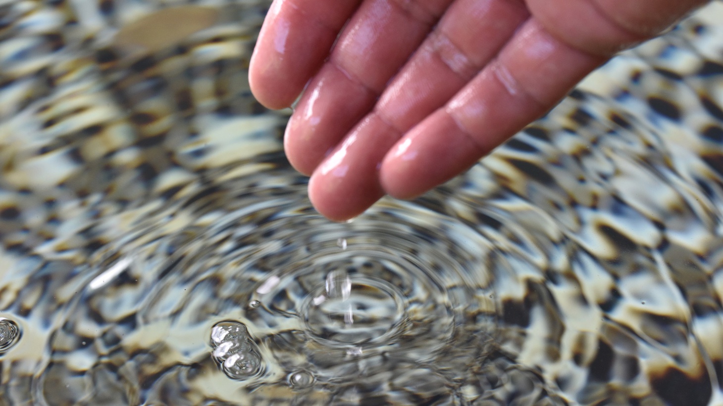 気ままに観光＆温泉三昧♪気軽に【素泊まり】プラン