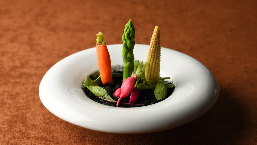 【夕食一例】やさい畑をイメージしたサラダ