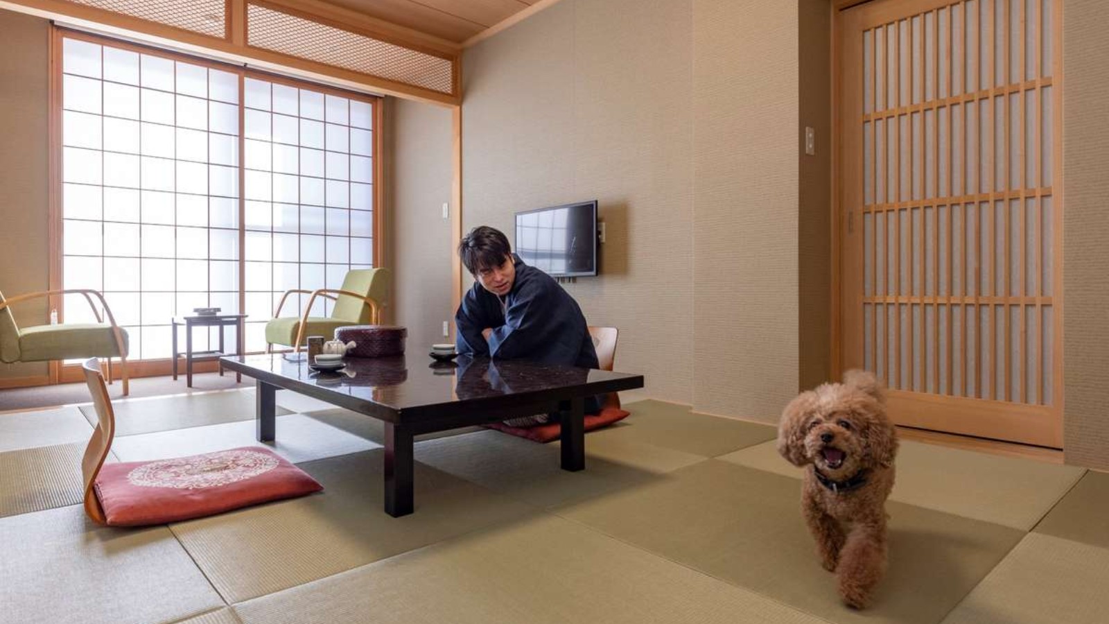 愛犬もきっと大喜び！
