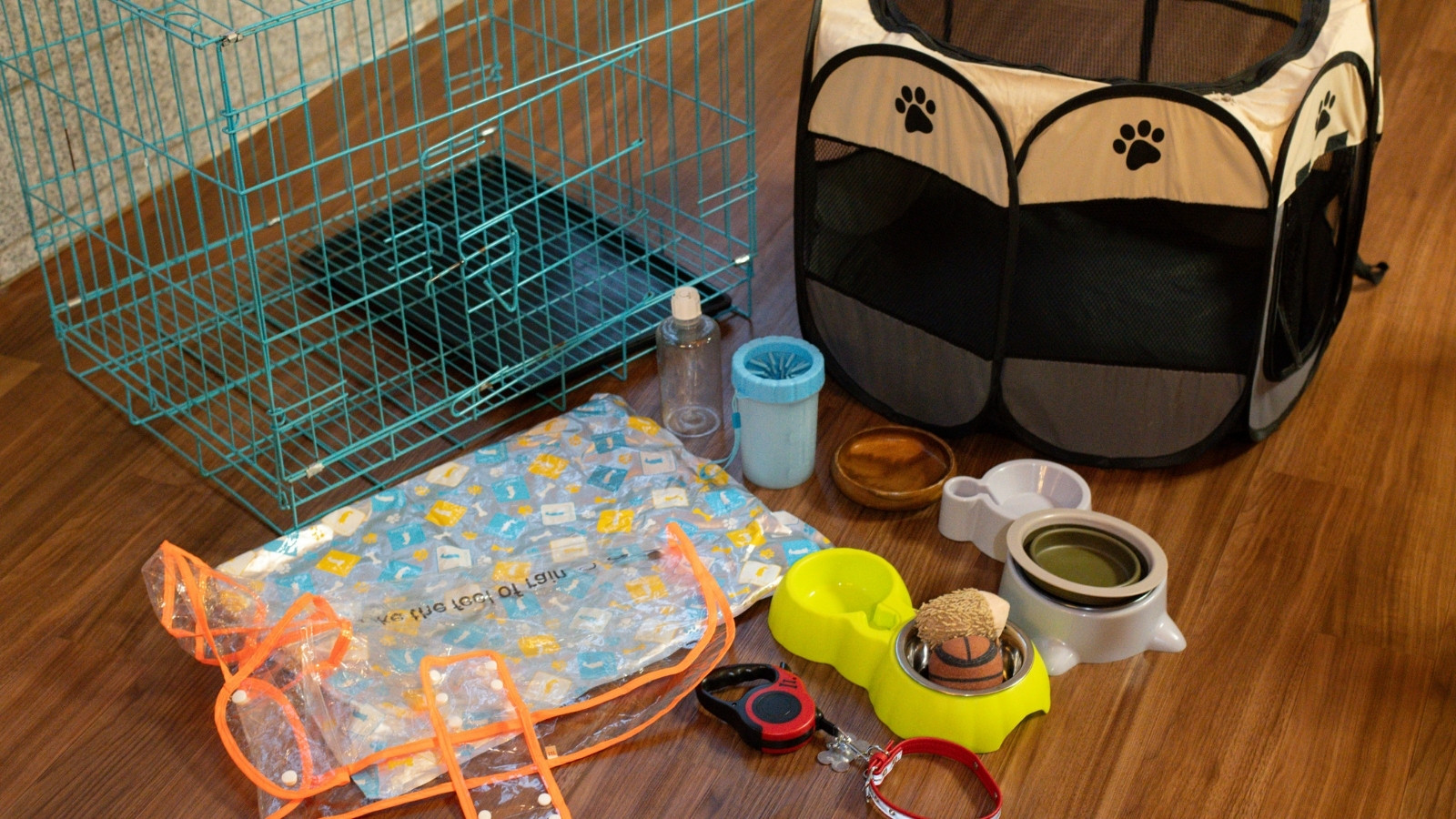 愛犬と別府を楽しむペットプラン！ペット用品の貸し出しもあります（数量限定）