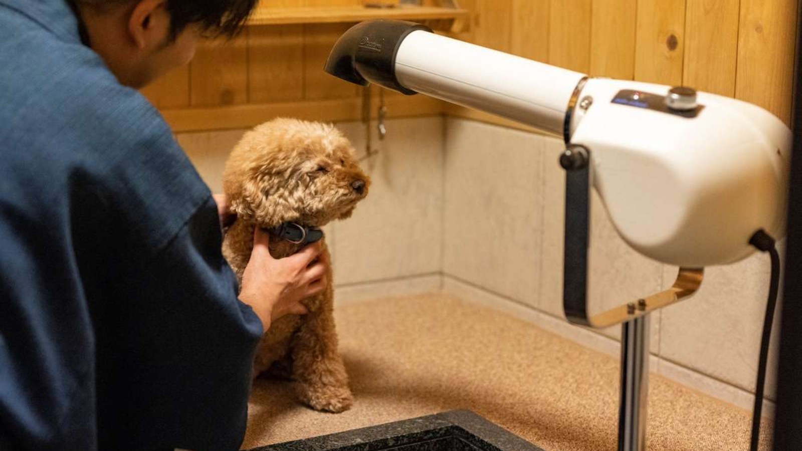 ワンちゃん専用ドライヤーのパワーにワンちゃんもこの表情