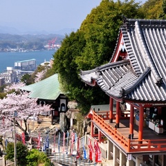 【春の千光寺本堂】千光寺山ロープウェイから見下ろした、桜に彩られた千光寺本堂です。