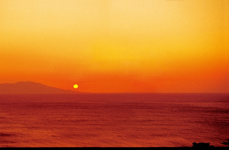 【海側和室】晴れていれば、伊豆七島や日の出も見ることも出来ます♪