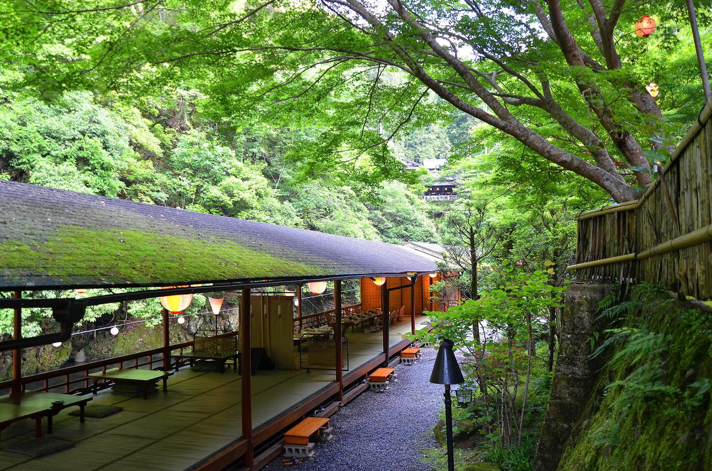 新緑に囲まれる川床