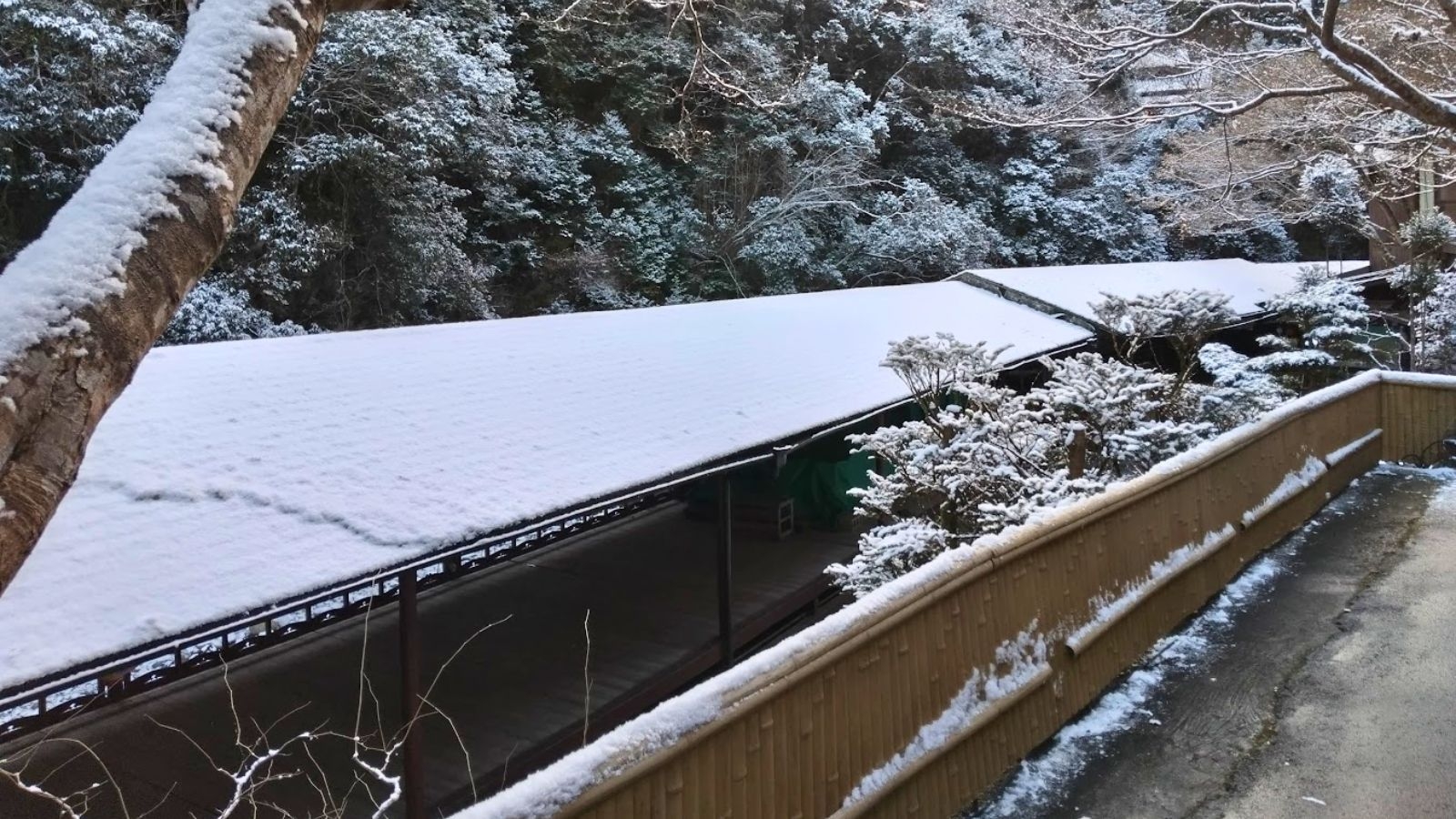 【さき楽30｜雪見鍋御膳】おひとり様1，000円おトク！寒さを忘れる贅沢ほっこり寄せ鍋