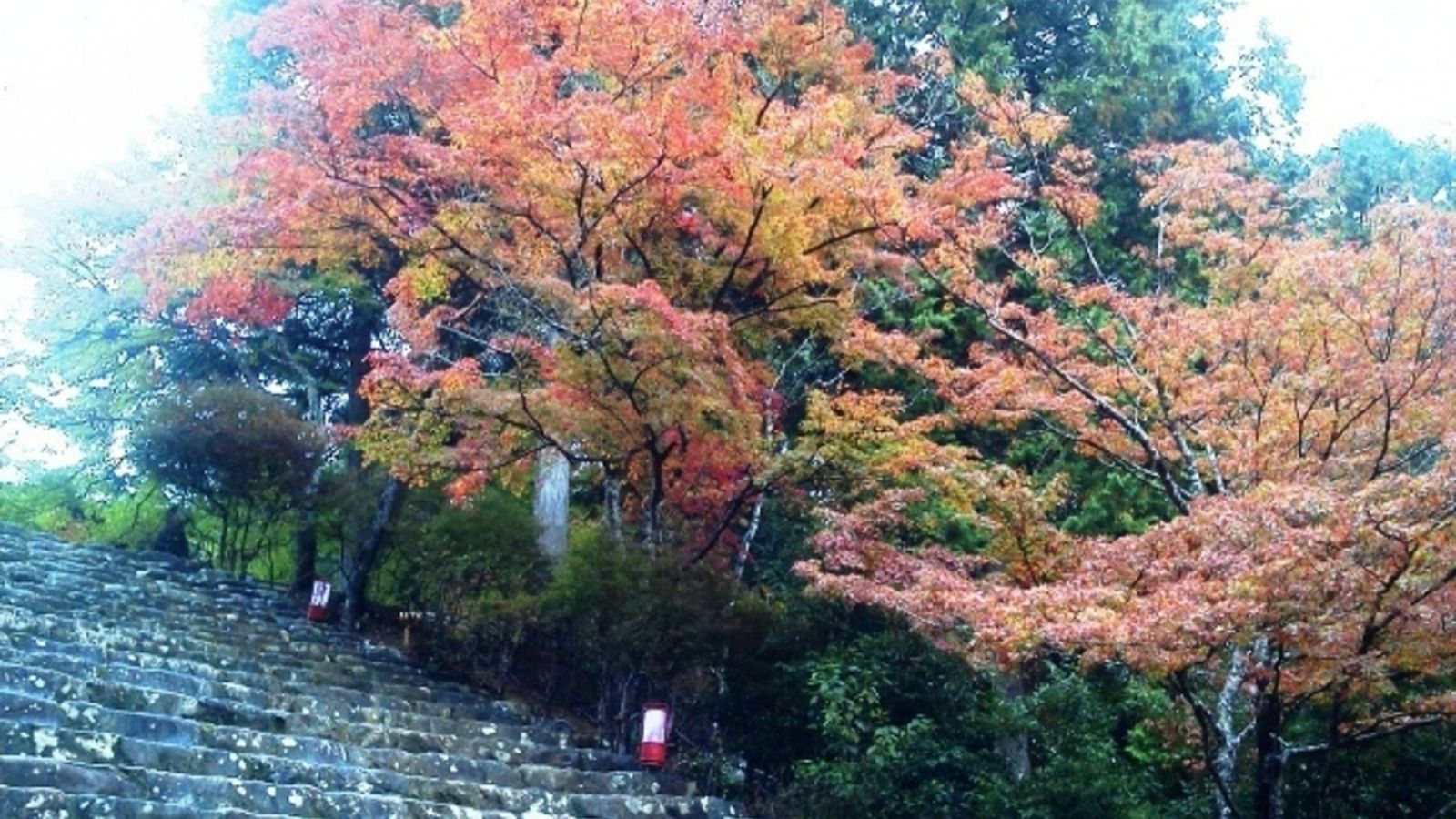 金堂への階段横