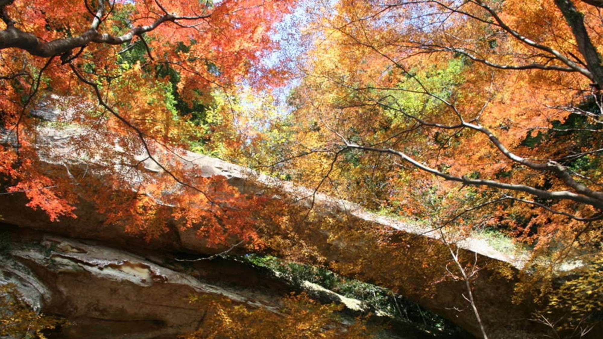 ＜イベント・秋＞御橋観音の紅葉