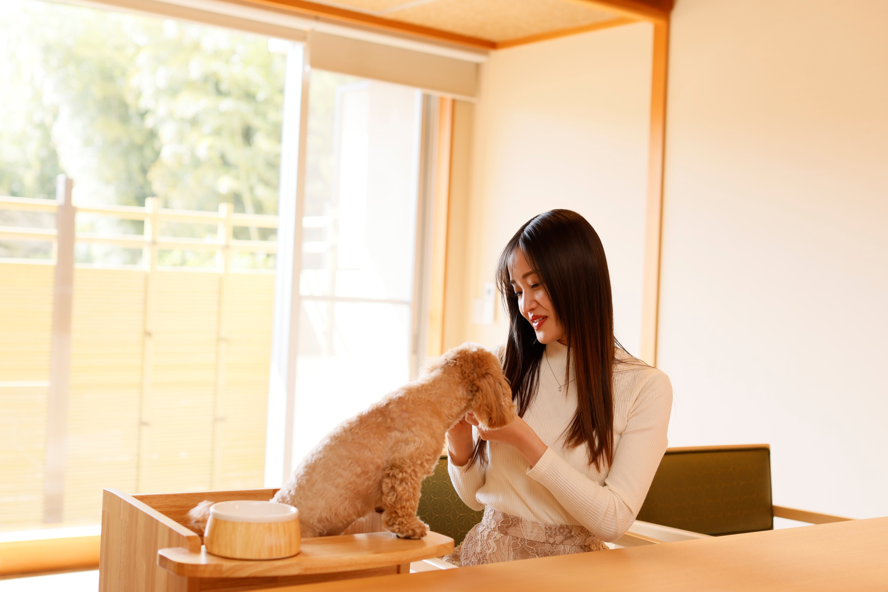 【わんこの宿誕生】夕食はお部屋食！小型犬限定！ペットと泊まれる客室ご宿泊プラン