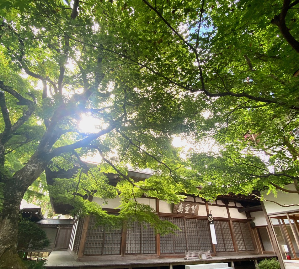 【部屋指定なし】でお得に！素泊まり＊食事がつかないプラン＊ナイトツアー参加のお客様にも好評です＊
