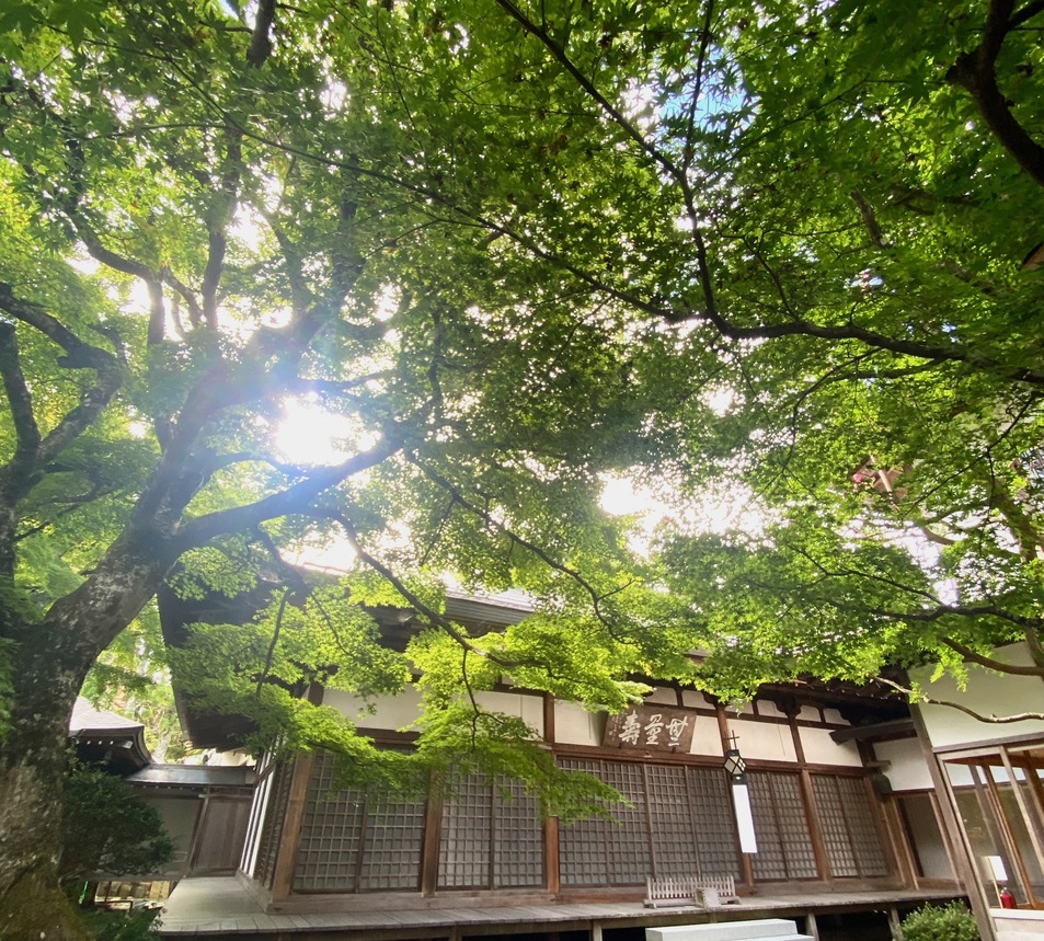 【部屋指定なし】でお得に！精進料理を堪能＊夕朝２食付きプラン＊全席椅子テーブルでお食事＊