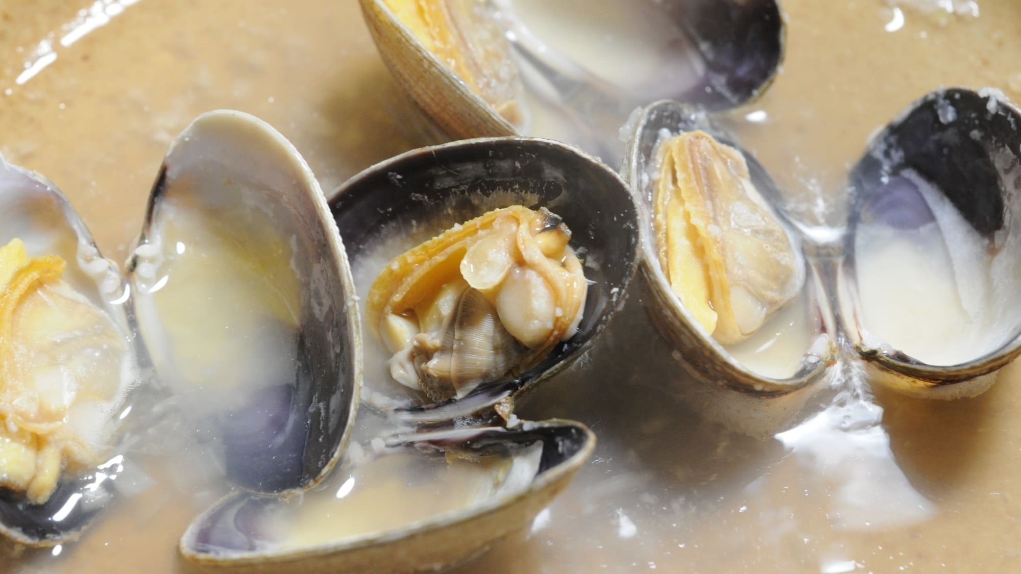 ◆【直前割】厚岸産の牡蠣料理をフルコースで！一番人気の牡蠣御膳プラン【夕朝食付】【美味旬旅】