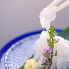 【富山の幸】富山湾の宝石と言われる白海老は富山湾でしか獲れません。舌の上でとろける甘味が美味です。