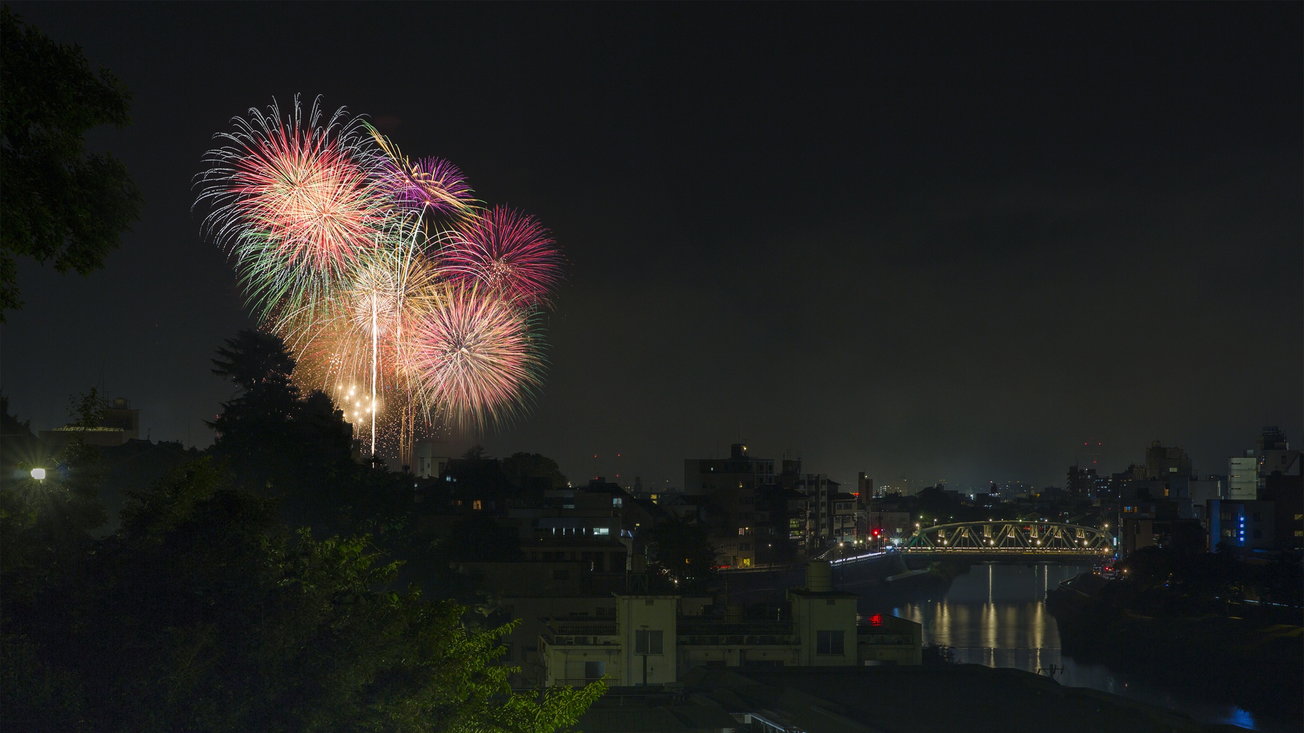 花火大会(写真提供：金沢市）