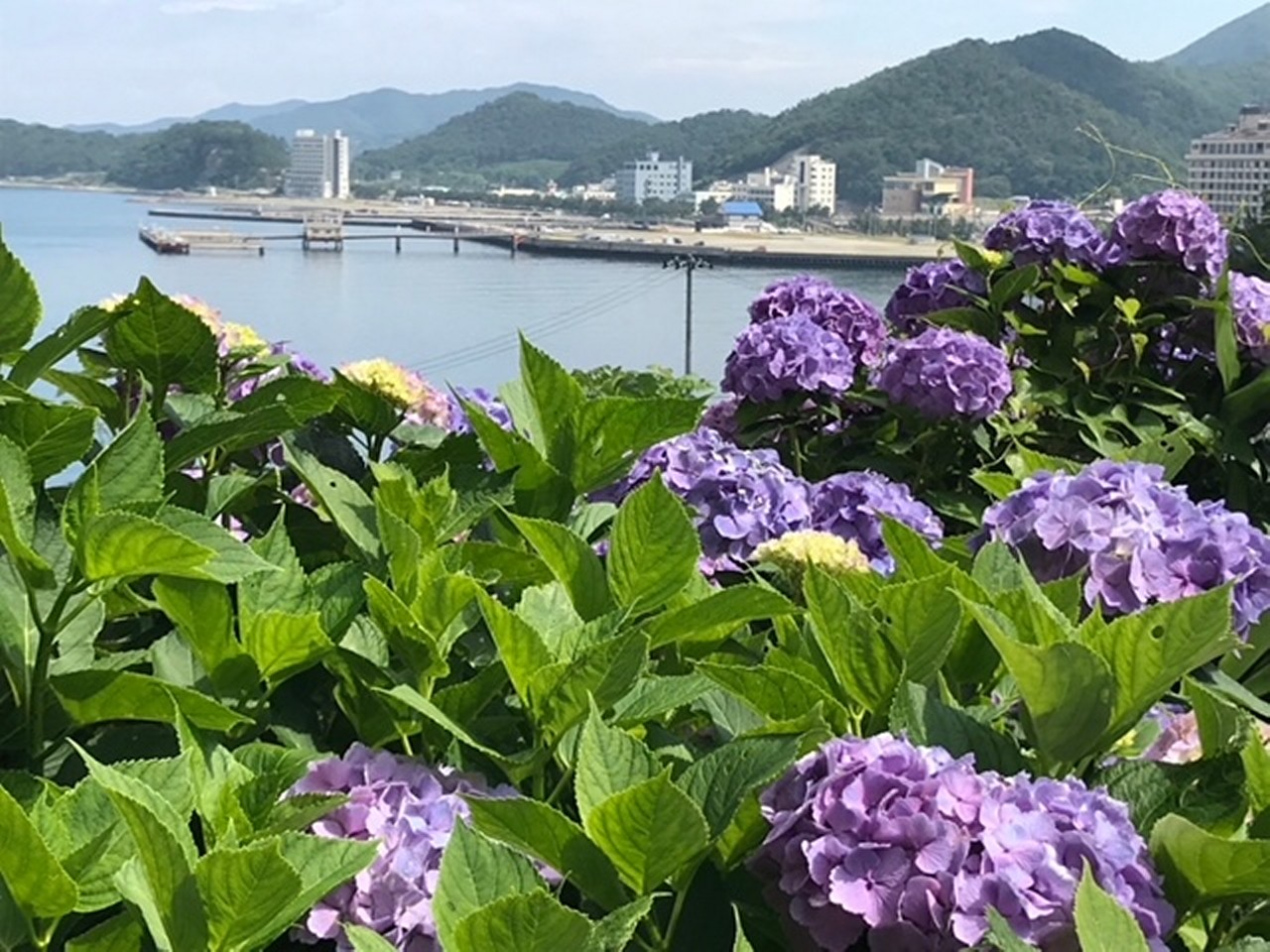 あじさいロードからの湯の島