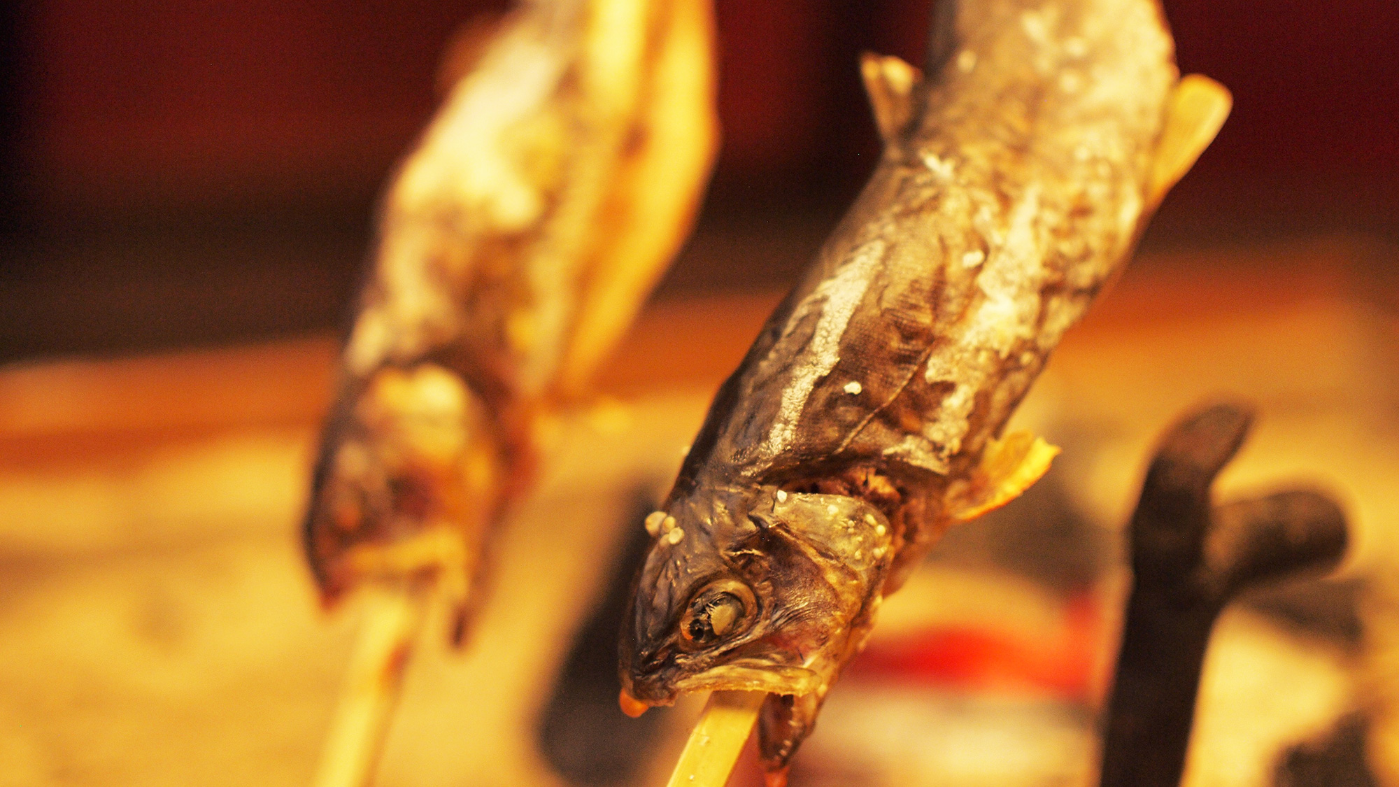 【夕食】白山清流育ちの岩魚の串焼き