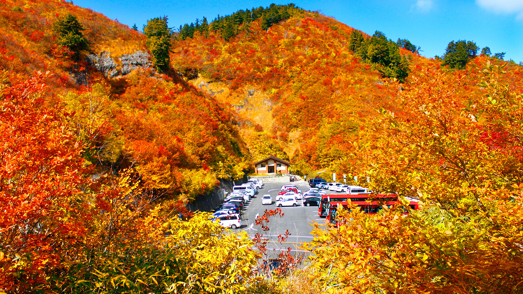 白山白川郷ホワイトロード(旧 白山スーパー林道)内の紅葉名所「三方岩岳」【車で約40分】